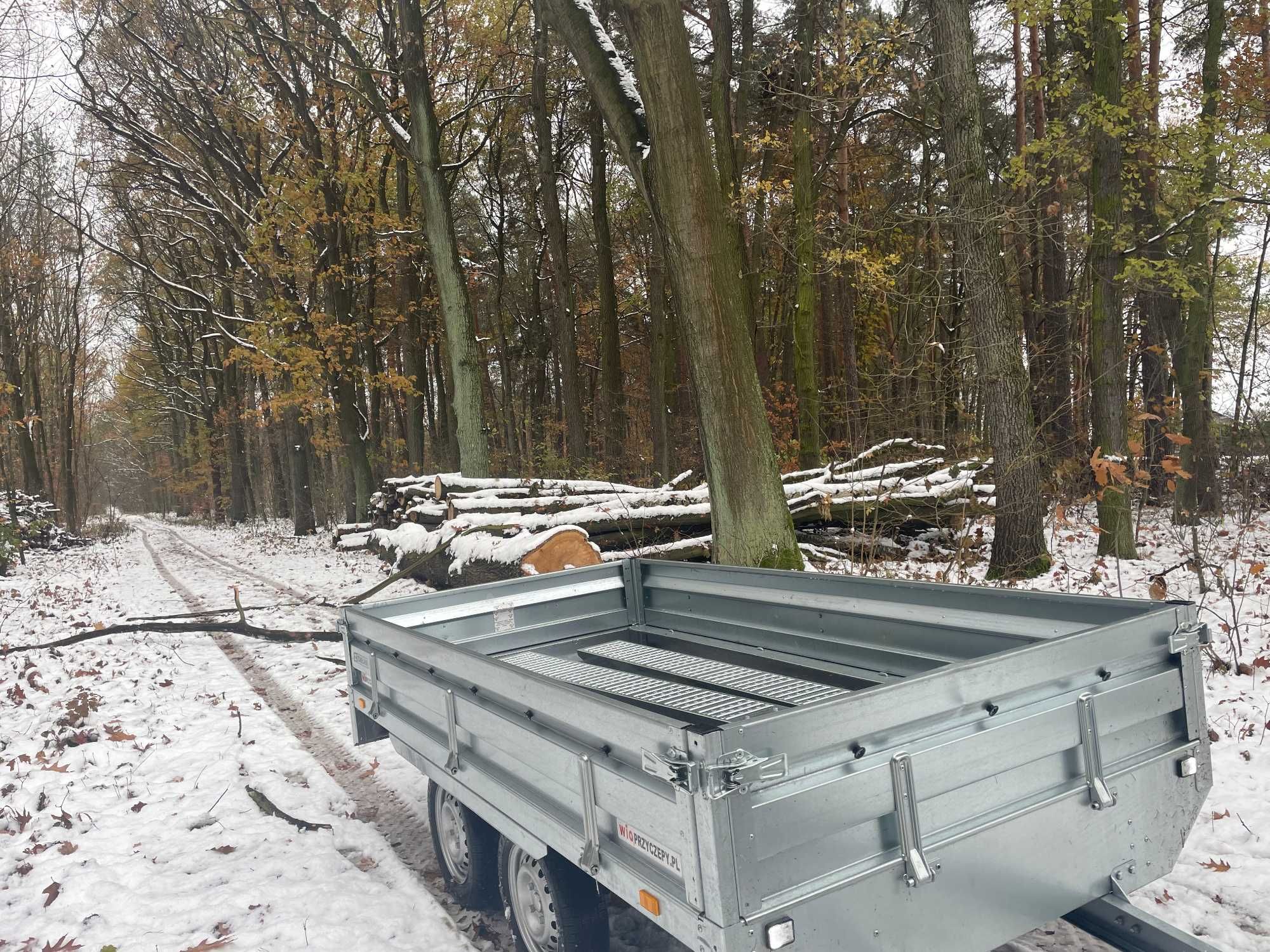 Przyczepa towarowa, przyczepka wynajem 300x150, przyczepka z najazdami