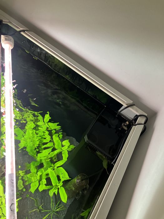 Akwarium Juwel Trigon 190 naroznikowe komlet szafka