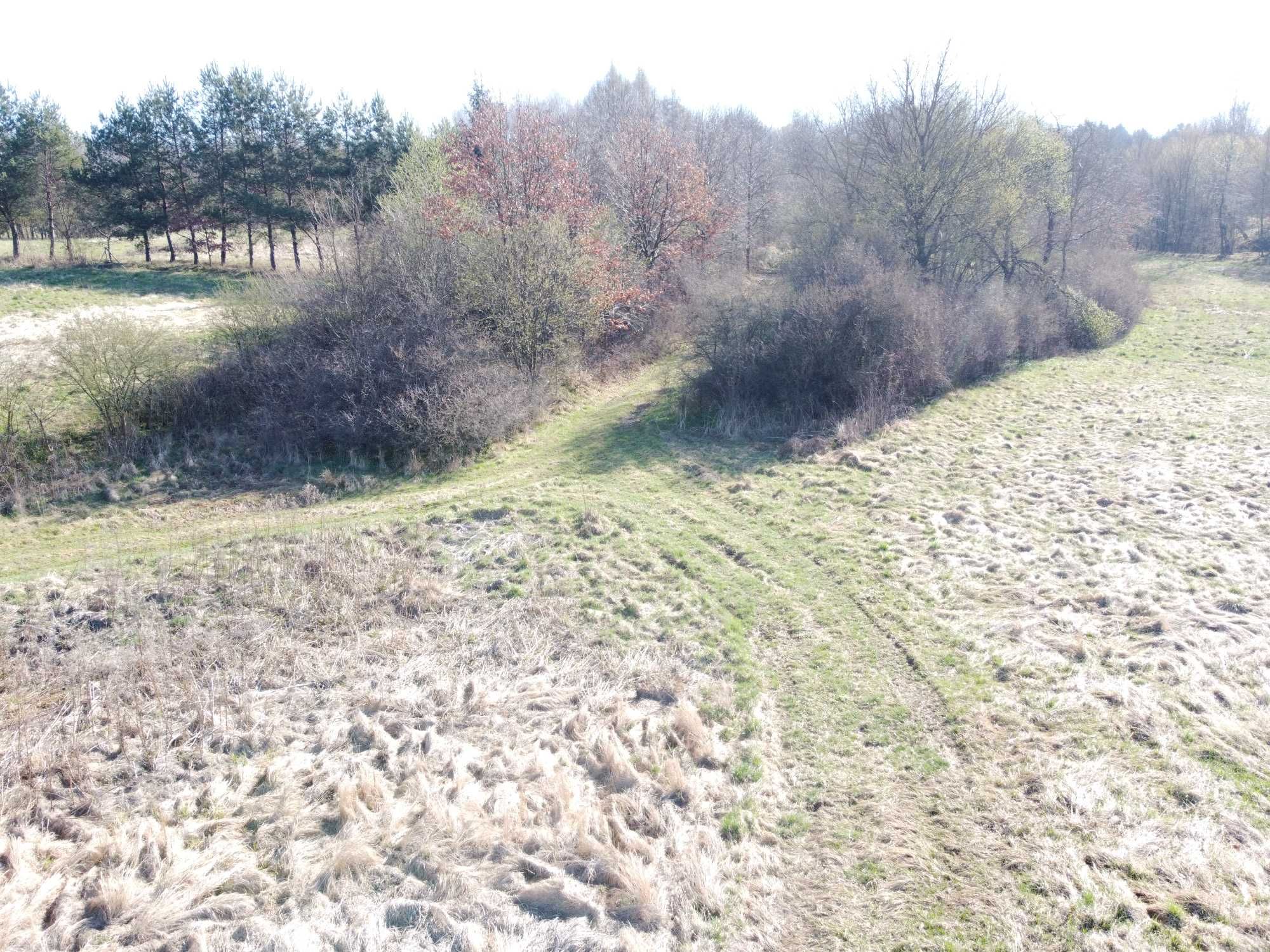 Sprzedam grunt rolny powierzchnia 2 ha Skopów