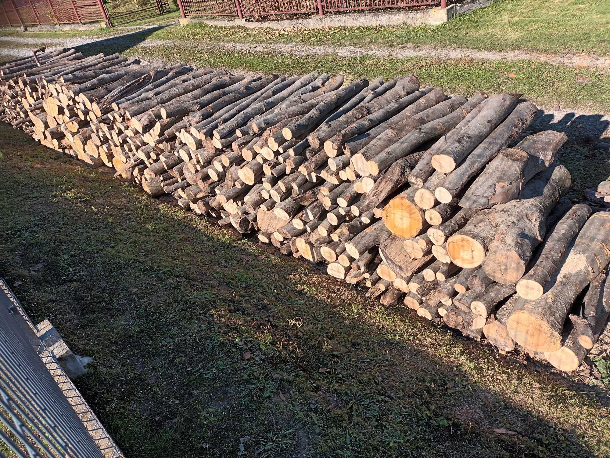 Drzewo bukowe, przeschnięte , kominkowe, 15 m.p