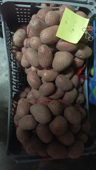 Agricultura produtor