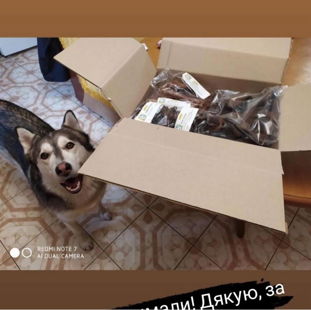 Печінка сушена (кубиками) - смаколики для собак. ТМ СВІЖИНА. Украіна