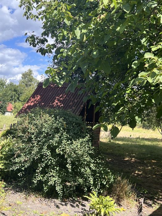 Будинок. Ніжинський район с.Вертіївка