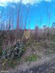 Terreno Florestal com 6.500 m²