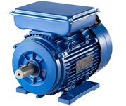 Silnik elektryczny asychroniczny Vevor 2,2 kW 12,4A 2860obr 220V