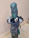 Conjunto de tacos de golfe