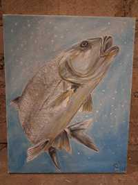 Obraz Ryba Boleń 35x28cm