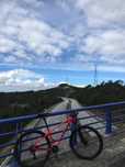Bicicleta TRECK em perfeito estado