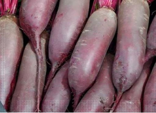 Продам столовий буряк