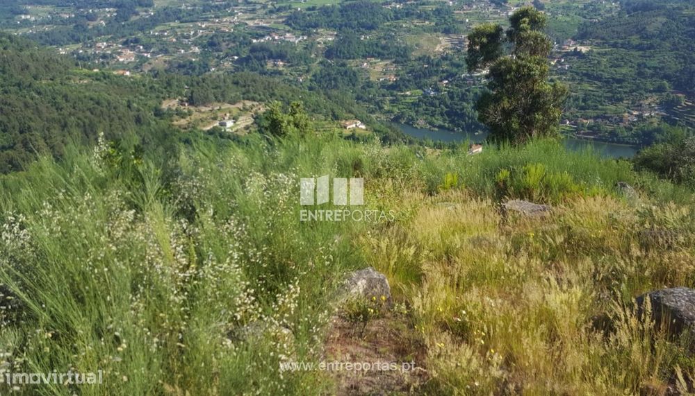 Venda de Terreno c/ 13700 m2, Tarouquela, Cinfães