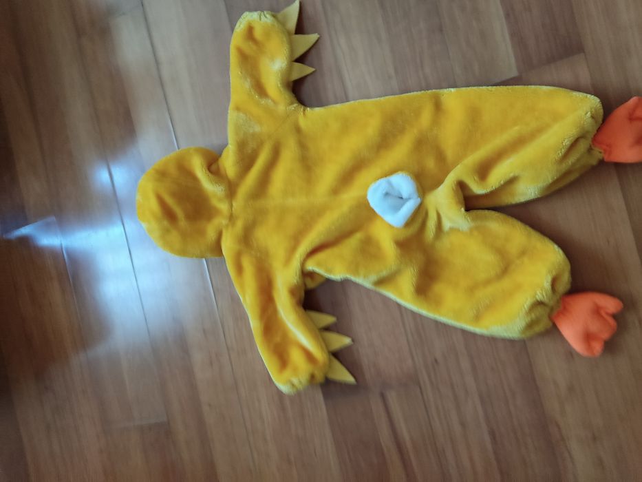 Vendo fato de carnaval