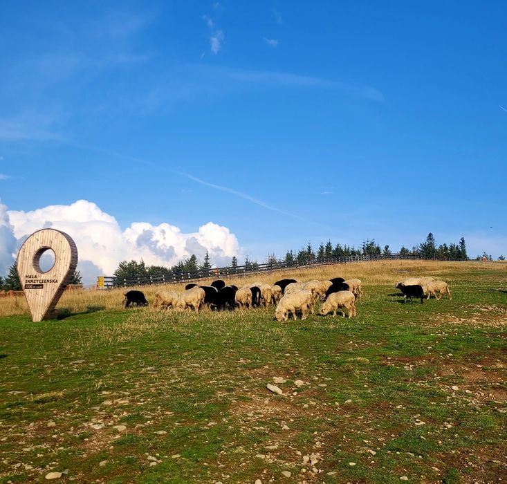 Apartament Szczyrk 6 osobowy, sauna, dwupoziomowy