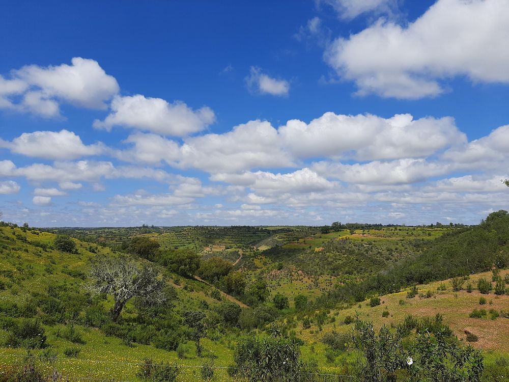 Propriedade alentejana
