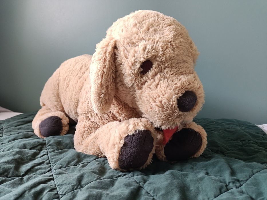 Duży pluszowy pies z IKEA