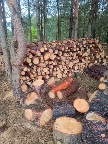 Drewno na opał drewno opałowe