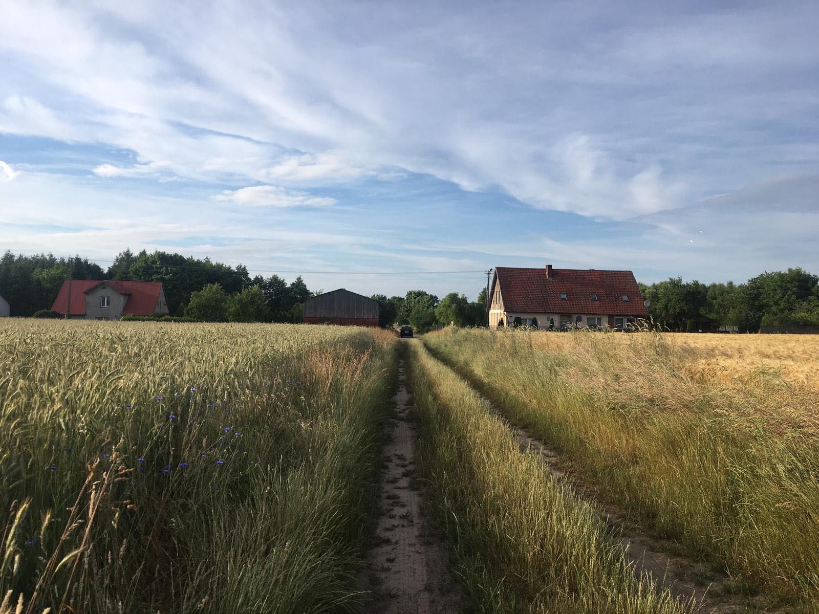 Piękna działka niedaleko morza i plaży w Lubiatowie - Kierzkowo!