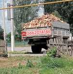 Дрова твёрдых пород-дуб,акация,ясень
