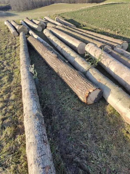 Sprzedam drewno tartaczne