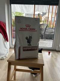 Karma Royal Canin Gastrointestinal sucha kot