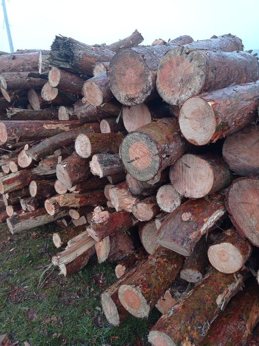 Drewno opałowe liściaste i sosna