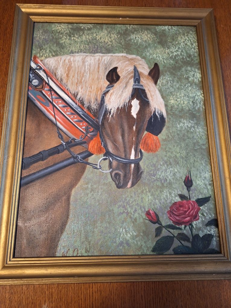Obraz Koń Z Kwiatem Róży
