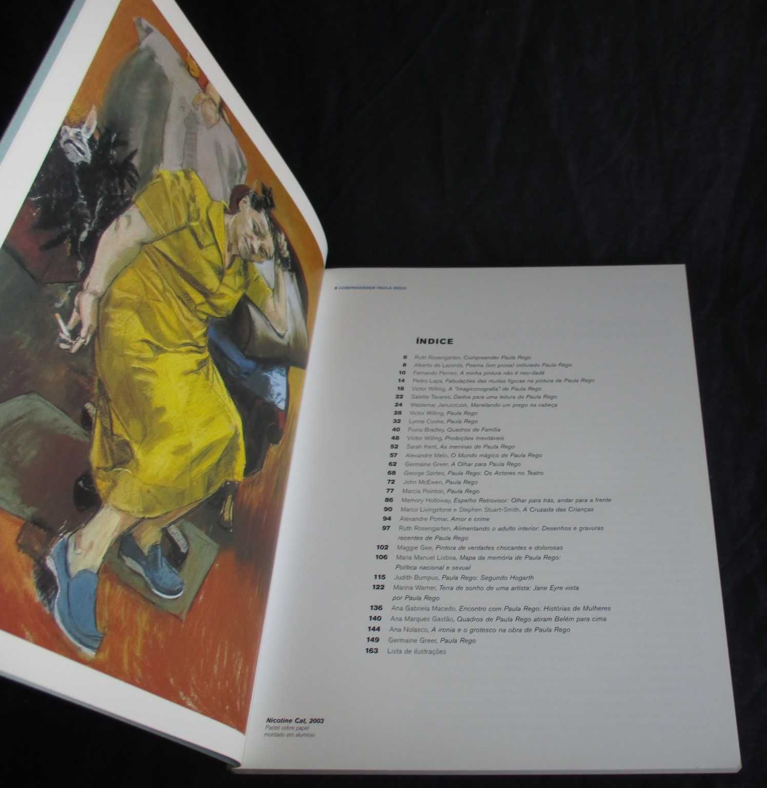 Livro Compreender Paula Rego 25 Perspectivas