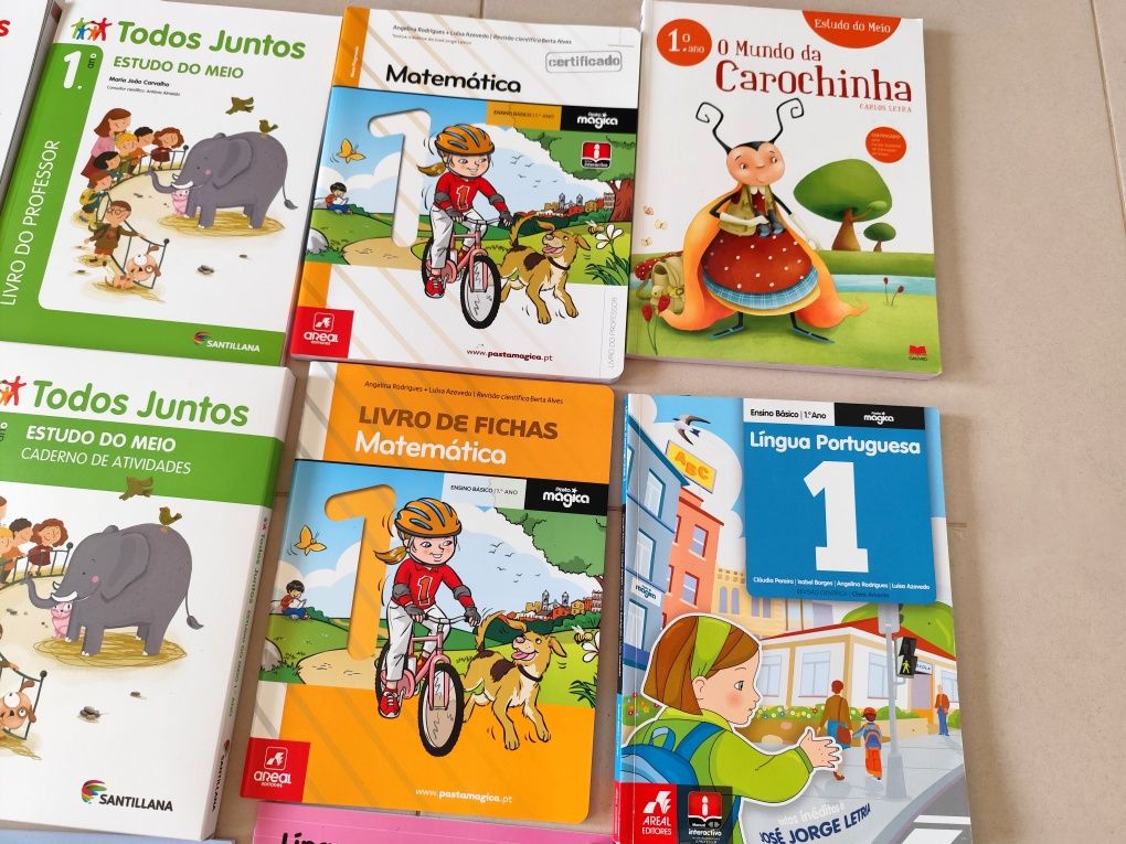 Manuais escolares 1° Ano (Novos - Versão do Professor)