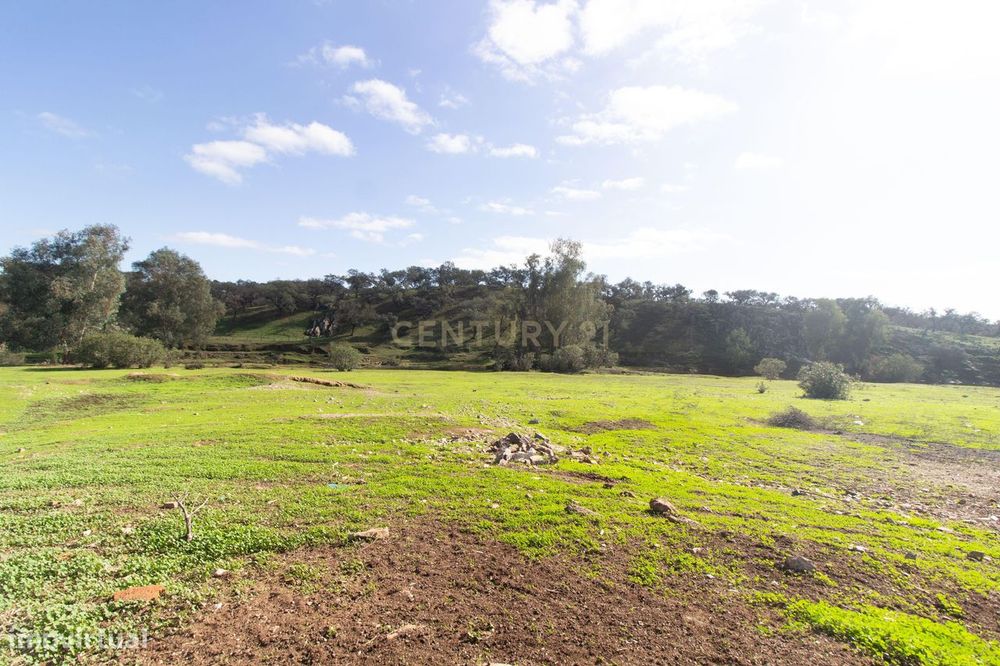 Terreno em Vila Verde de Ficalho | Oportunidade Única com 35,48 Hectar