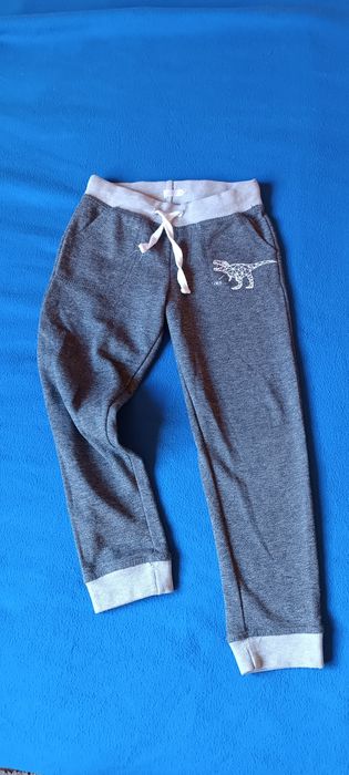 Spodnie dresowe szare dinozaur 116