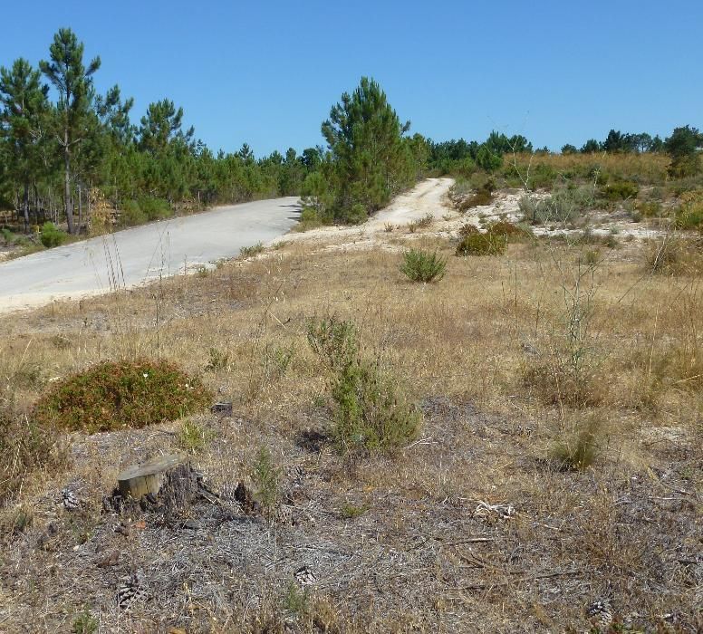 Lote de terreno com 390metros quadrados