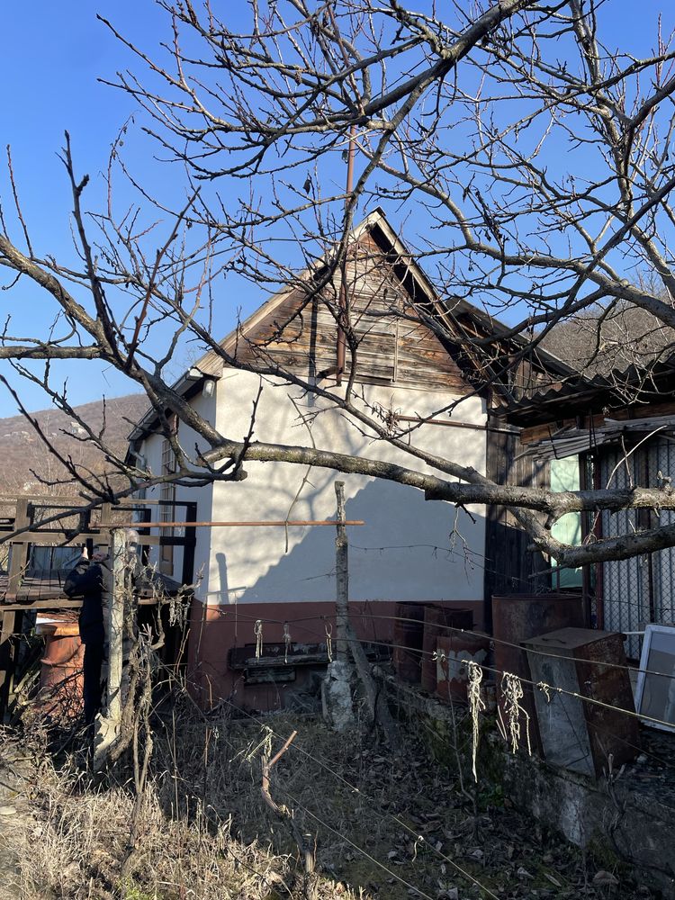 Продам дачу в Виноградові