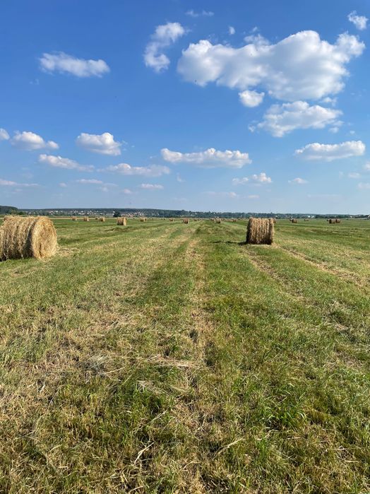 Продам сіно в тюках