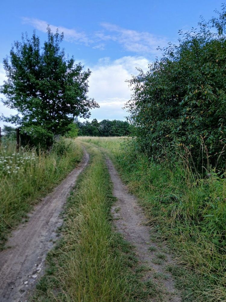 Продам земельну ділянку Стуфчинці