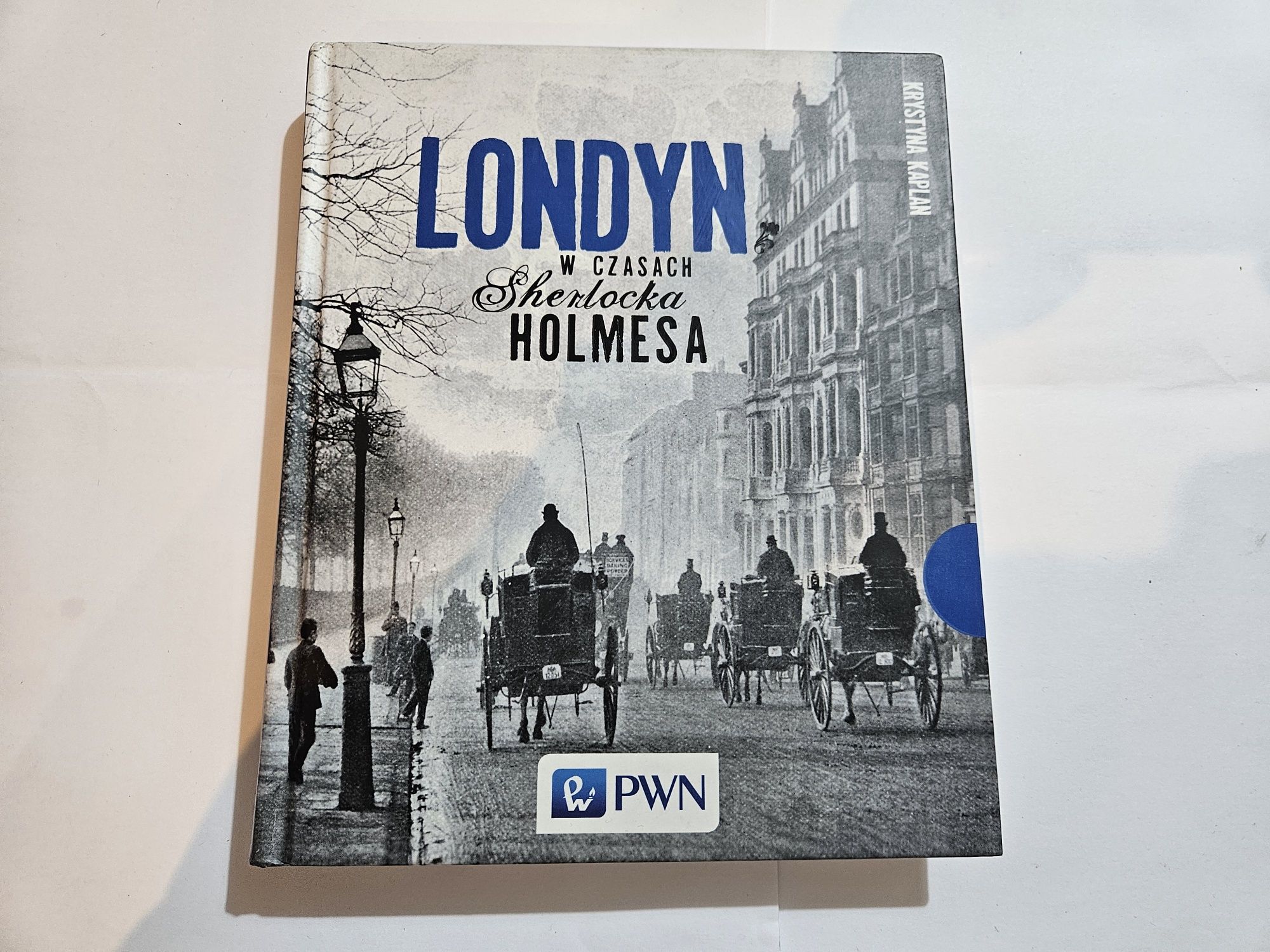 Londyn w czasach Sherlocka Holmesa Książka