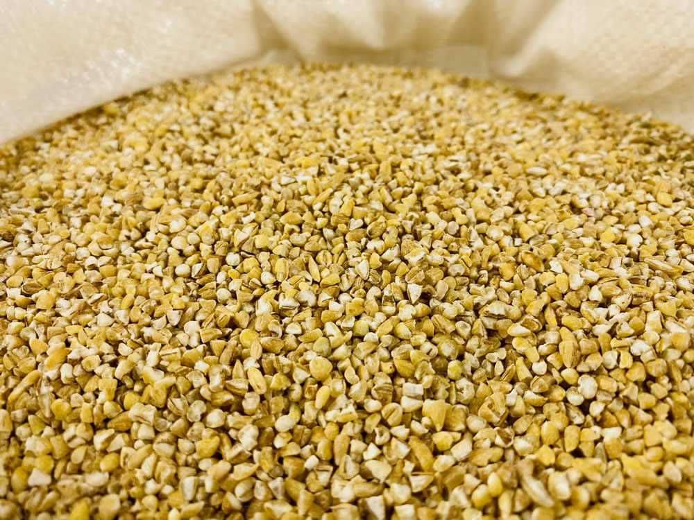 KASZA Jęczmienna Wiejska Gruba Warmia bez glifosatu 5 KG