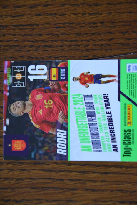 Rodri – Unbeatable Bright Gold 270 – Top Class 2025