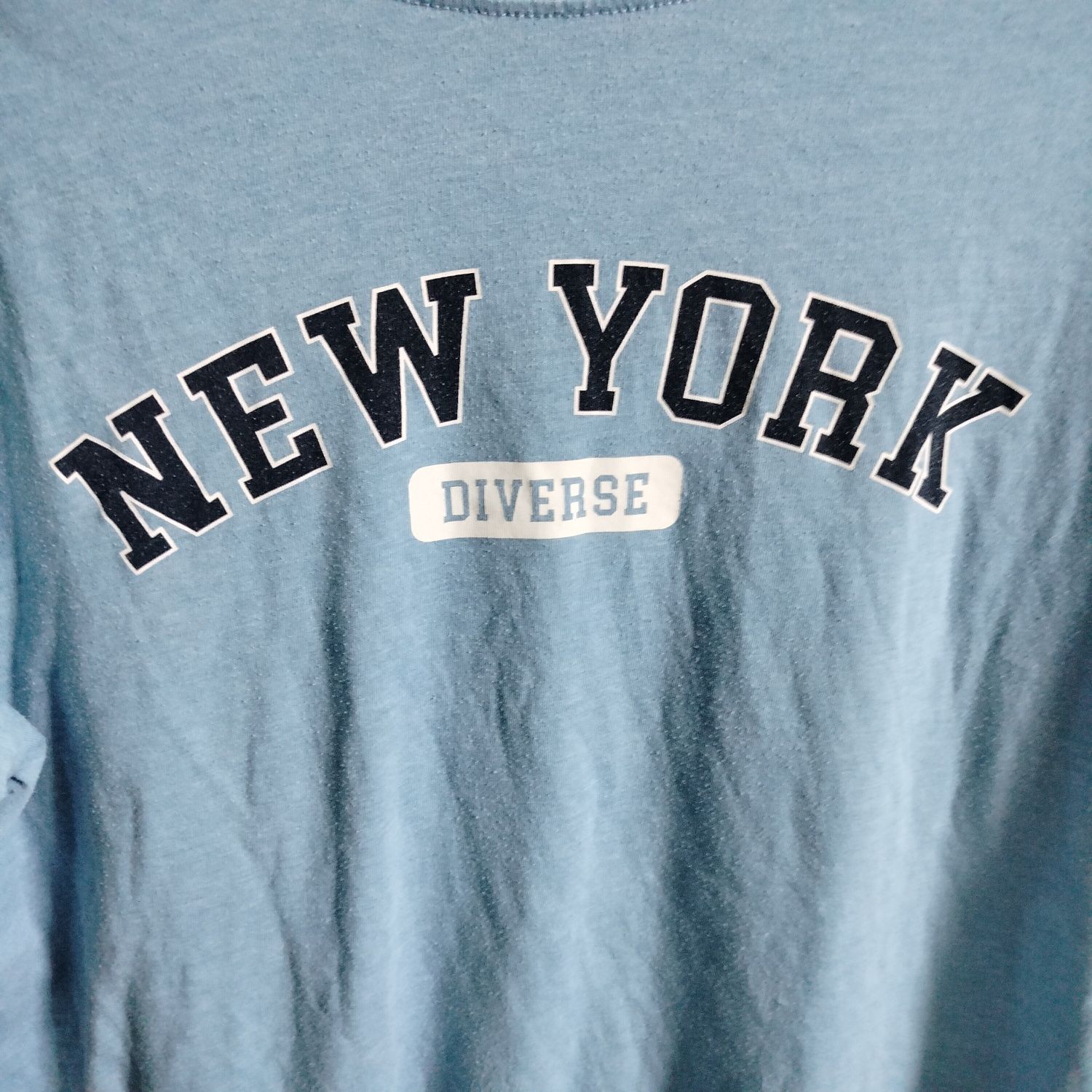 Koszulka męska t shirt diverse New York