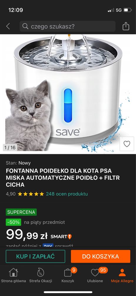 Fontanna dla kota, wysoka jakosc