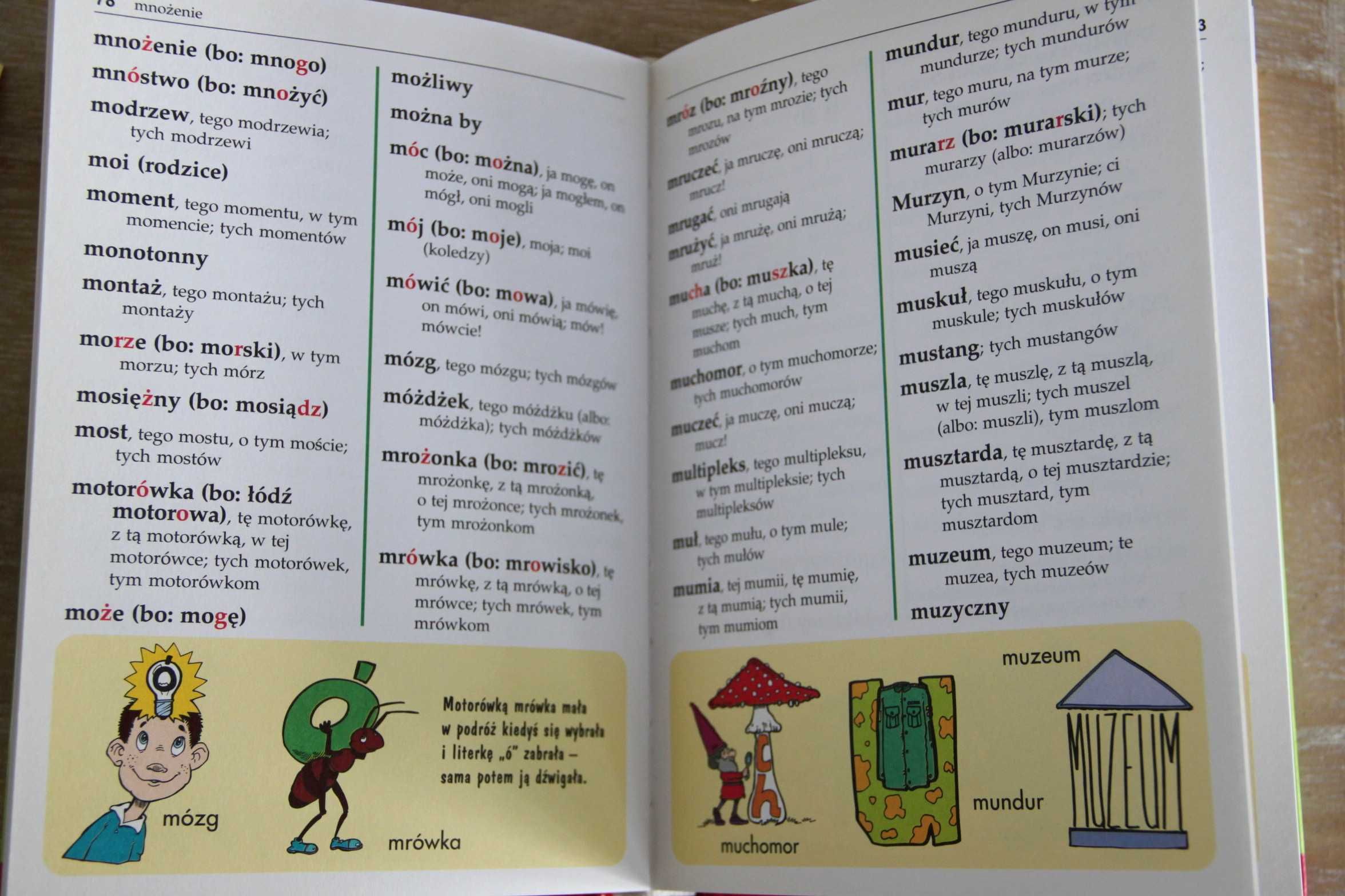 Ilustrowany słownik ortograficzny Zielona Sowa klasy 1 -3