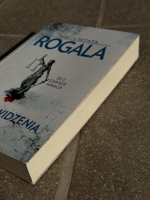 Rogala - Punkt widzenia - książka