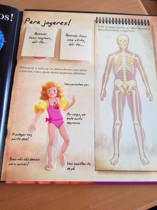 Livro didático infanto-juvenil "O Corpo Humano"