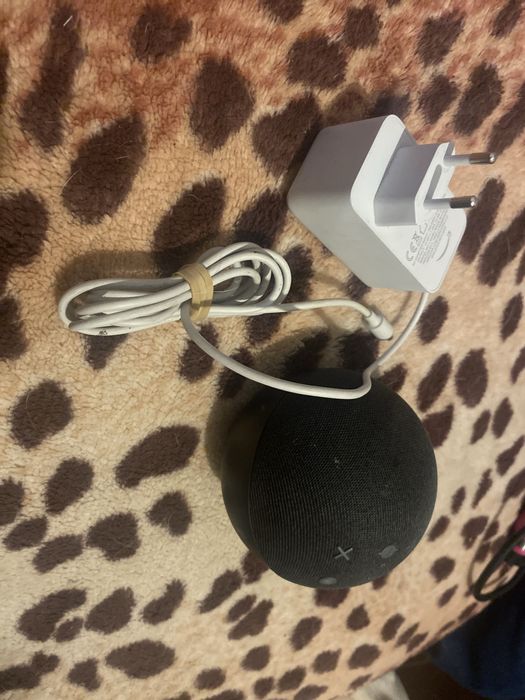 Alexa usada 5 geracao