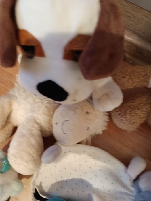 Nr430) zabawki maskotki pluszaki dla pupila psa kota