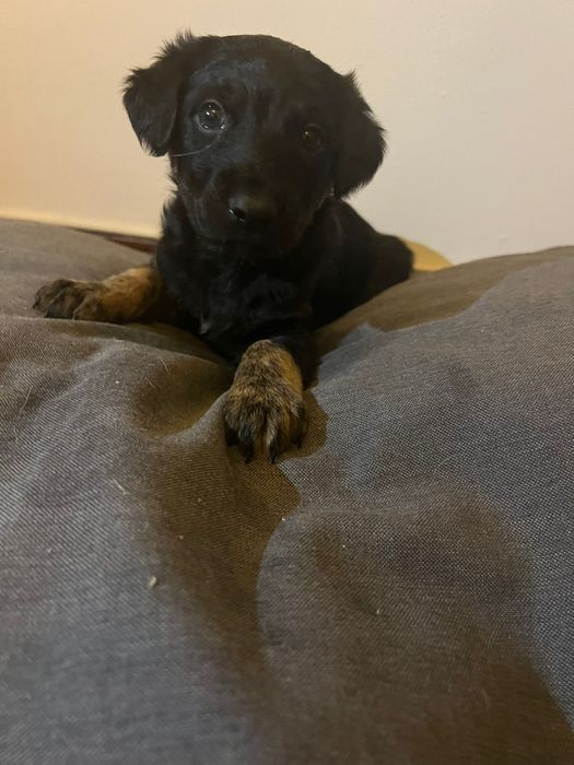 Para doação responsável