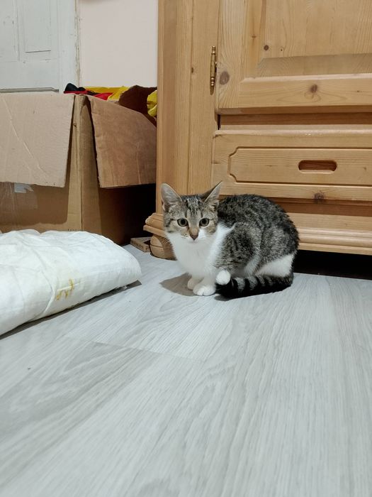 Czekam na dom - Bunia