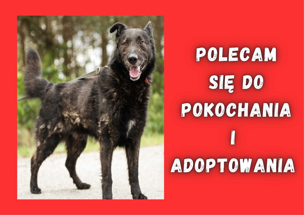 KARBON - marzy o nowym domu i rodzinie :)