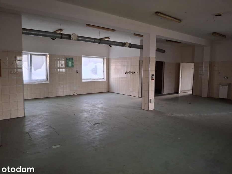 Lokal użytkowy magazyn produkcja Ząbki