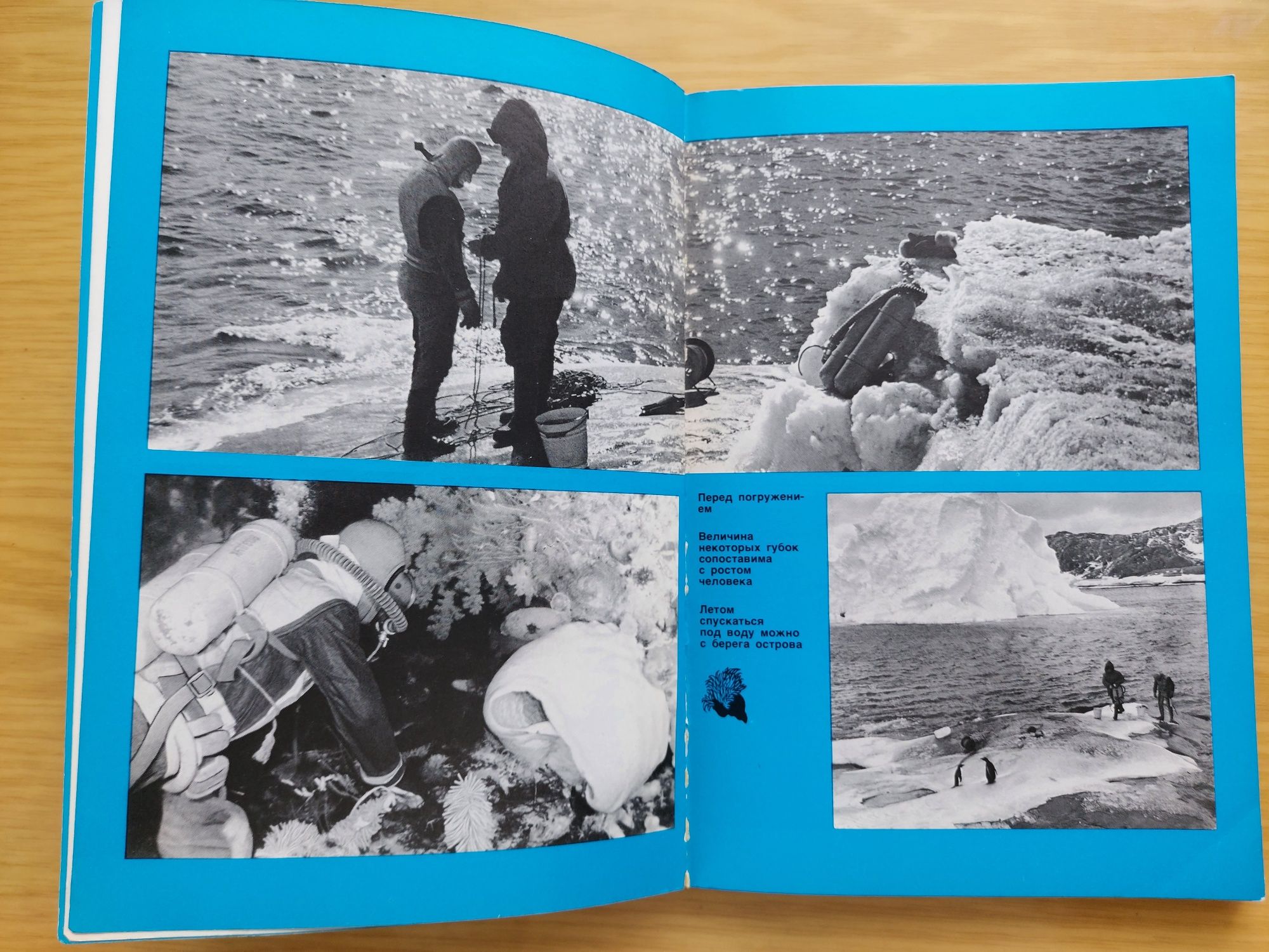 Книга Под водой в Антарктике С.Н.Рибаков