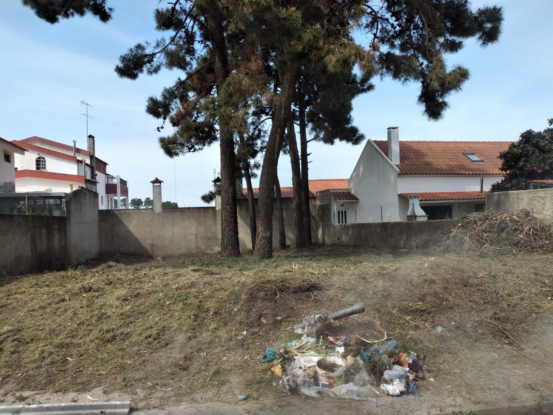 Limpeza de terrenos, corte, poda e abate de árvores, palmeiras e manutencão de jardins