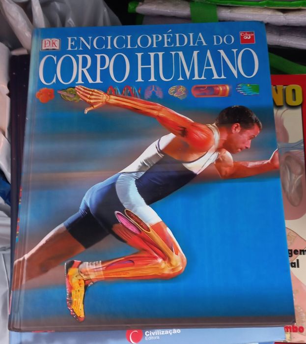 Livros didáticos